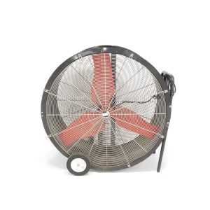 Fans